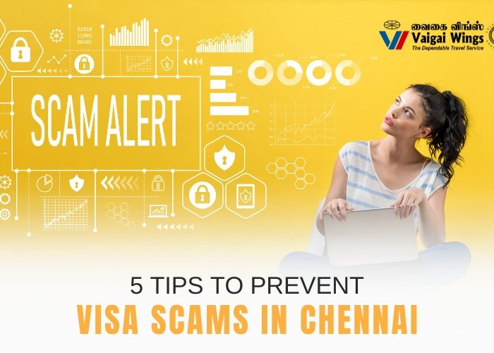 prevent visa scams