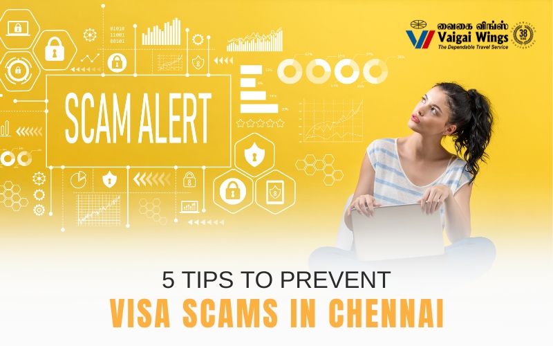 prevent visa scams